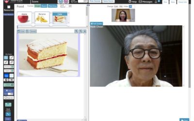 Online Speech Therapy for Aphasia